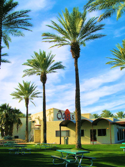Oasis Date Farm